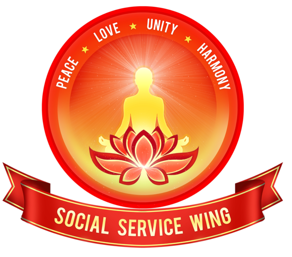 Social Wing Logo