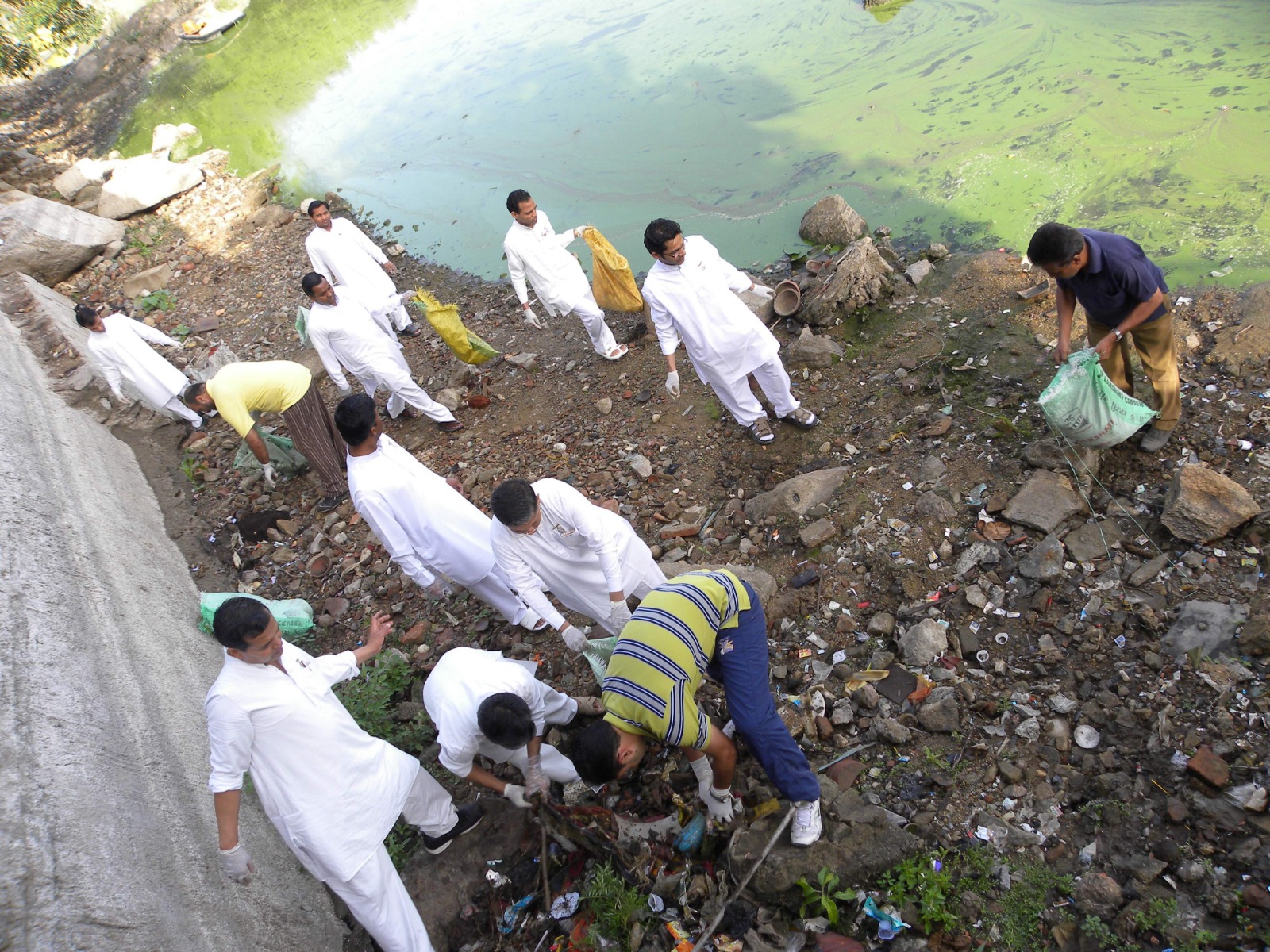 Plastic-Free Awareness